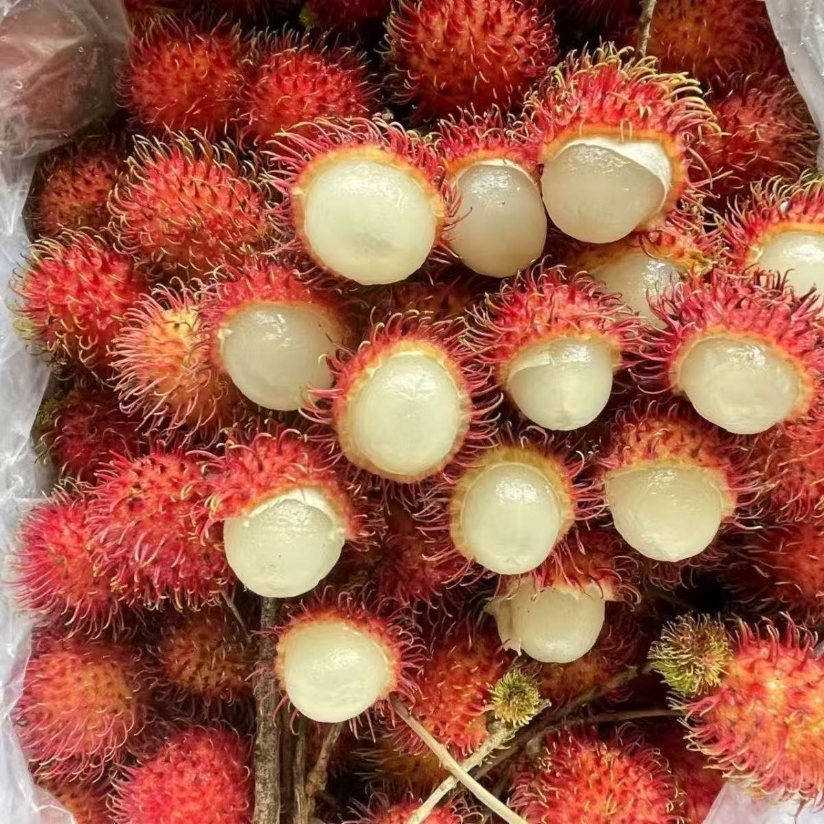 ໝາກງູສົດ – ເນື້ອໜາ ຫວານແຊບ ນ້ຳຫຼາຍ ໝາກໄມ້ເຂດຮ້ອນຕາມລະດູການ - ຮູບທີ 3